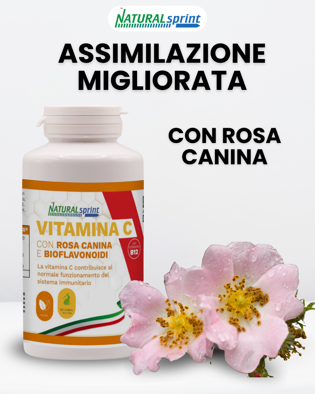Vitamina C e Rosa Canina